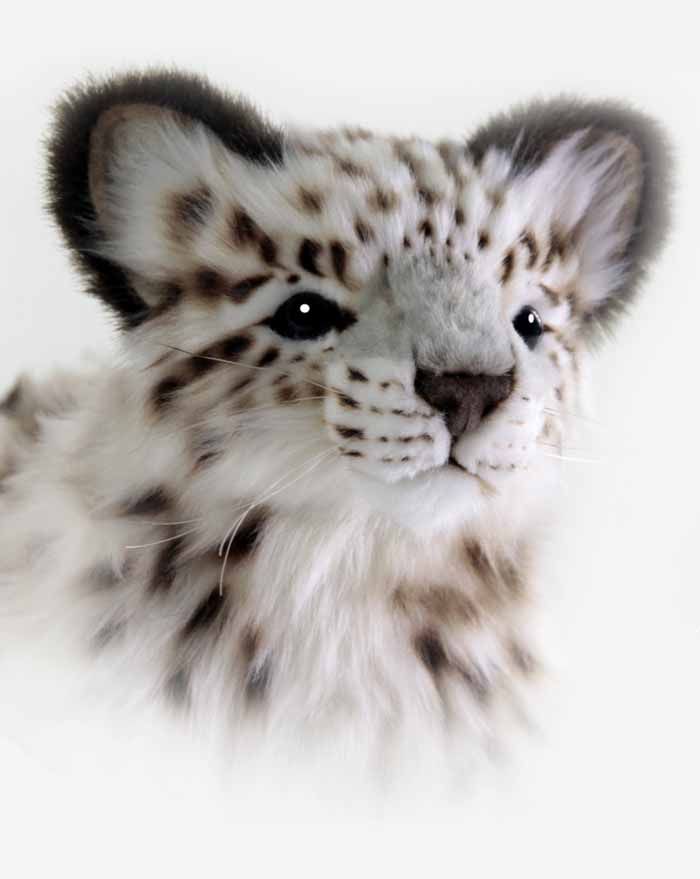 Hansa Snow Leopard