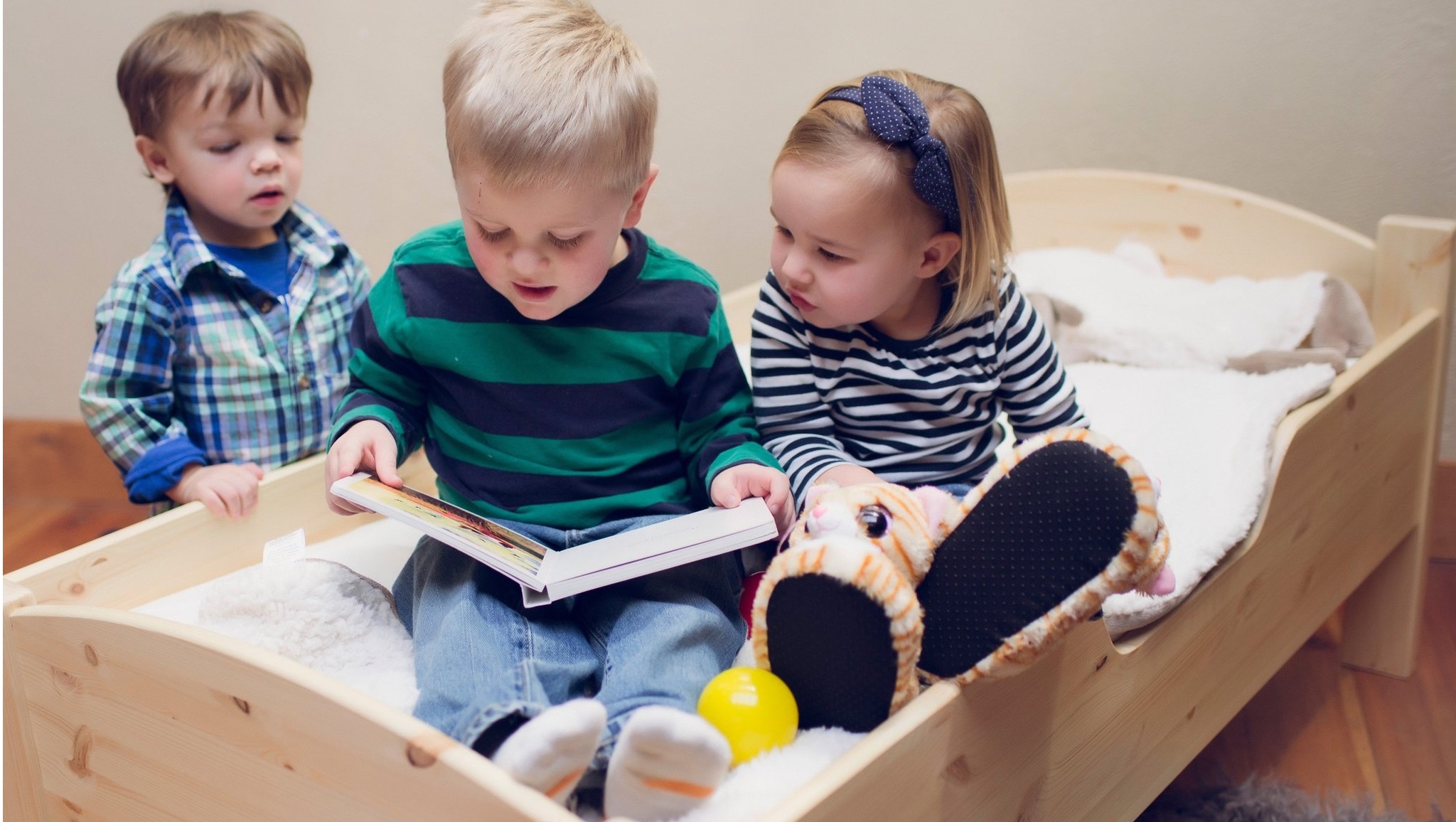 Little Colorado Toddler Bed
